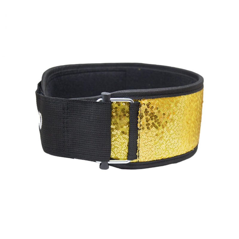 Weight Lifting Belt 